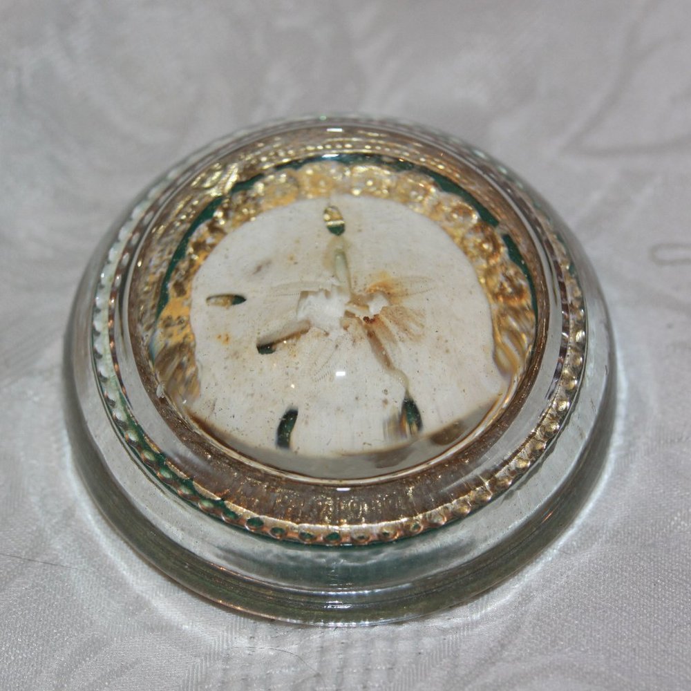 SAND DOLLAR VINTAGE REAL OCEAN CREATURE DOME GLASS PAPERWEIGHT NAUTICAL